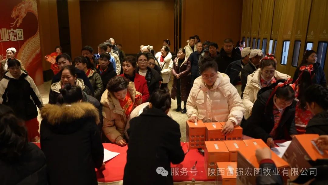 1737597903197019.jpg 33.jpg