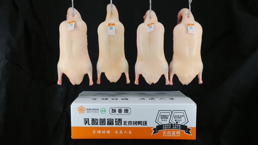 1770108334289040.jpg 1.jpg