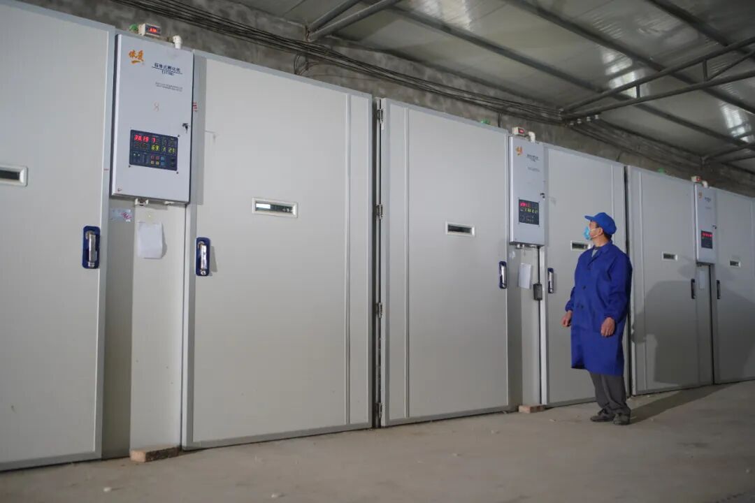 1770108735288777.jpg 4.jpg