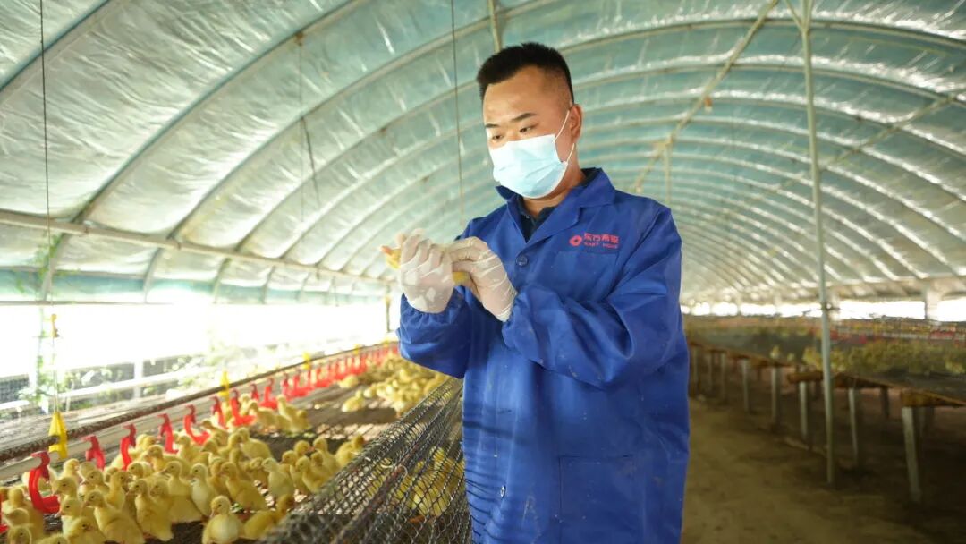 1770108811961054.jpg 8.jpg