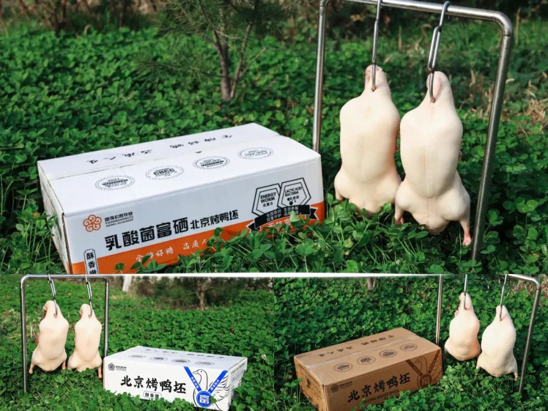 1747208663872714.jpg 7.jpg