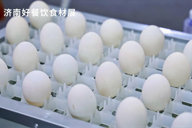 1754355545871800.png 13.png